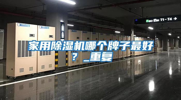 家用除濕機(jī)哪個牌子最好?_重復(fù)