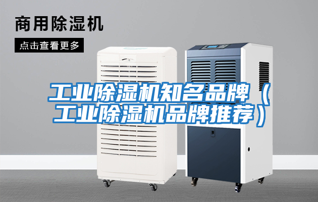 工業除濕機知名品牌(工業除濕機品牌推薦)
