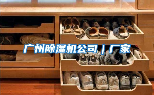 廣州除濕機(jī)公司|廠家