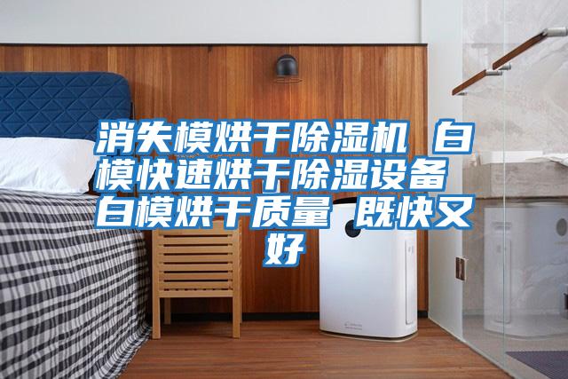 消失模烘干除濕機 白?？焖俸娓沙凉裨O備 白模烘干質量 既快又好