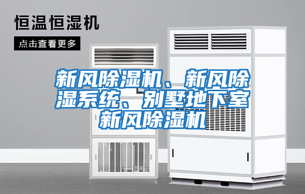 新風除濕機、新風除濕系統、別墅地下室新風除濕機