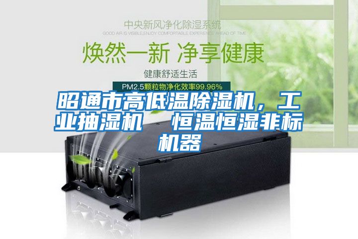 昭通市高低溫除濕機(jī),工業(yè)抽濕機(jī) 恒溫恒濕非標(biāo)機(jī)器