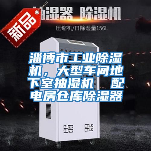 淄博市工業(yè)除濕機，大型車間地下室抽濕機  配電房倉庫除濕器