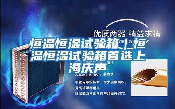 恒溫恒濕試驗(yàn)箱|恒溫恒濕試驗(yàn)箱首選上海慶聲