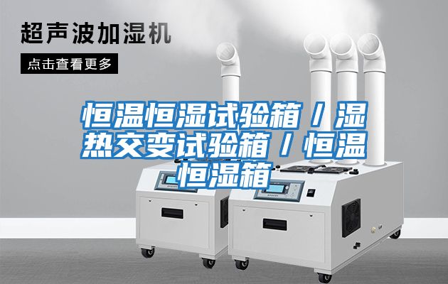 恒溫恒濕試驗(yàn)箱/濕熱交變?cè)囼?yàn)箱/恒溫恒濕箱