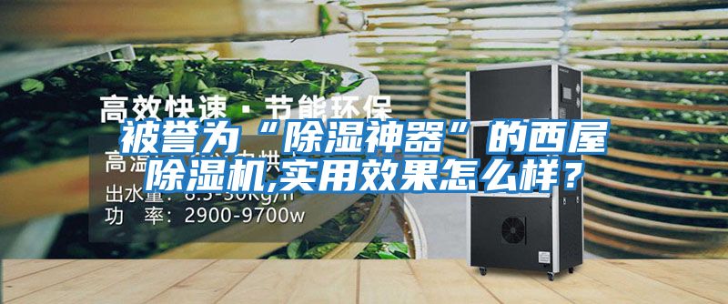 被譽為“除濕神器”的西屋除濕機,實用效果怎么樣?