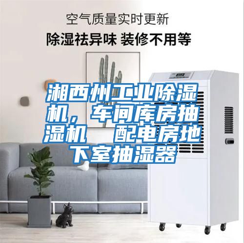 湘西州工業除濕機,車間庫房抽濕機 配電房地下室抽濕器