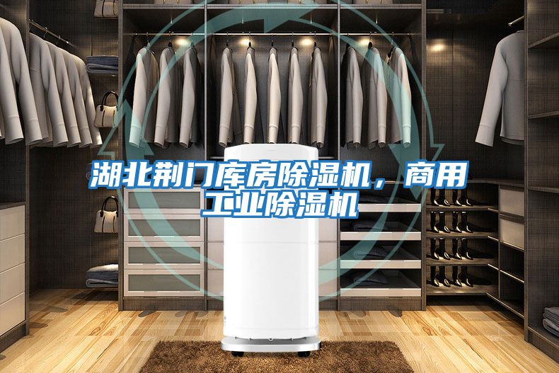 湖北荊門(mén)庫(kù)房除濕機(jī)，商用工業(yè)除濕機(jī)