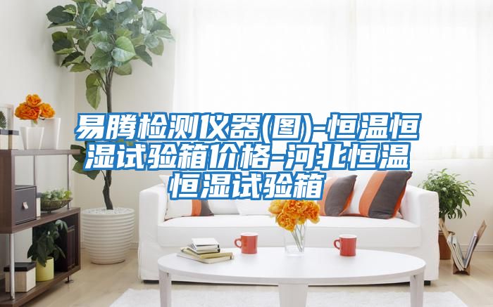 易騰檢測(cè)儀器(圖)-恒溫恒濕試驗(yàn)箱價(jià)格-河北恒溫恒濕試驗(yàn)箱