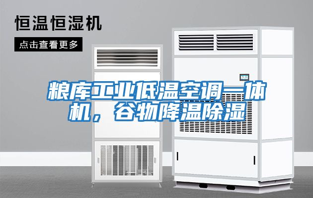 糧庫工業低溫空調一體機，谷物降溫除濕