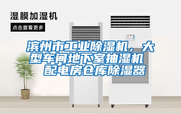 濱州市工業除濕機，大型車間地下室抽濕機  配電房倉庫除濕器