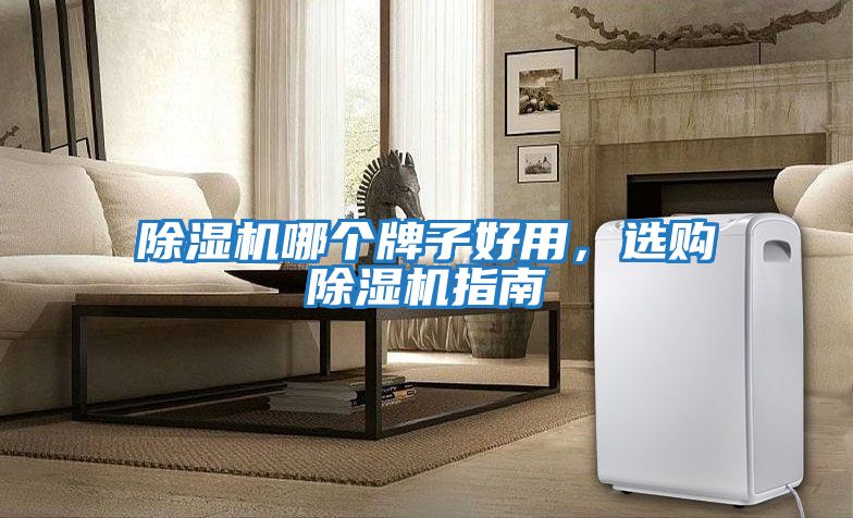 除濕機哪個牌子好用，選購除濕機指南
