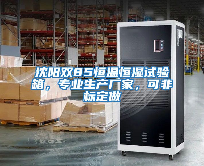 沈陽雙85恒溫恒濕試驗箱，專業(yè)生產(chǎn)廠家，可非標定做