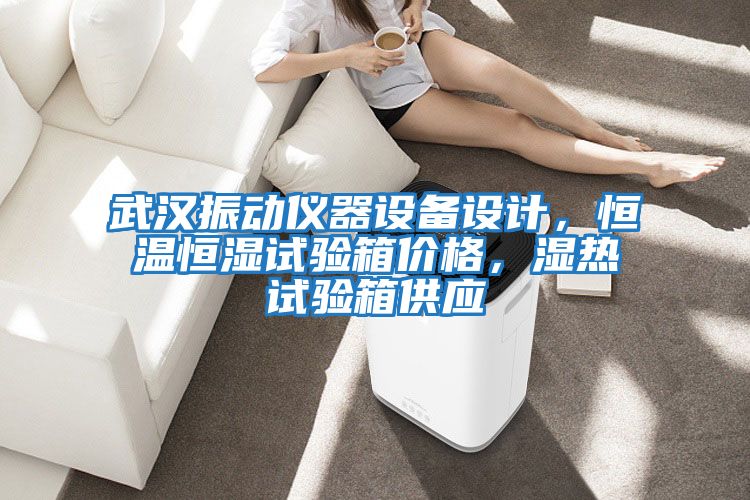 武漢振動儀器設備設計，恒溫恒濕試驗箱價格，濕熱試驗箱供應
