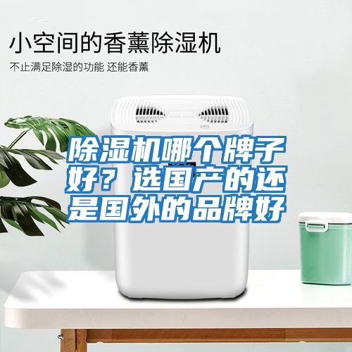 除濕機哪個牌子好?選國產(chǎn)的還是國外的品牌好