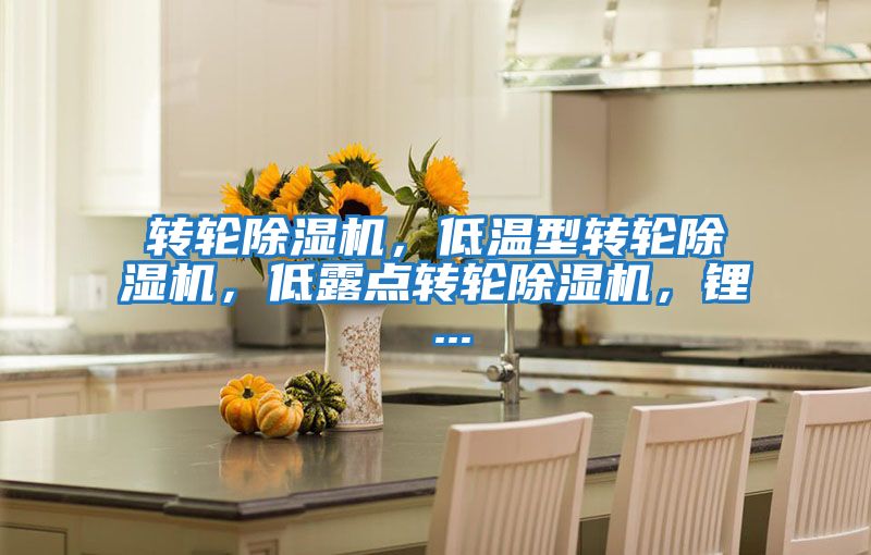 轉輪除濕機,低溫型轉輪除濕機,低露點轉輪除濕機,鋰 ...