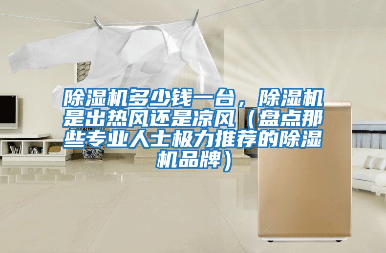 除濕機多少錢一臺，除濕機是出熱風還是涼風（盤點那些專業人士極力推薦的除濕機品牌）