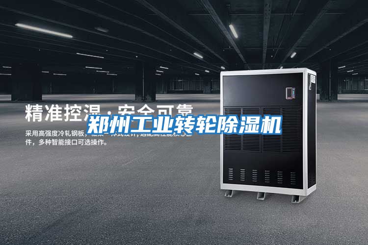 鄭州工業轉輪除濕機