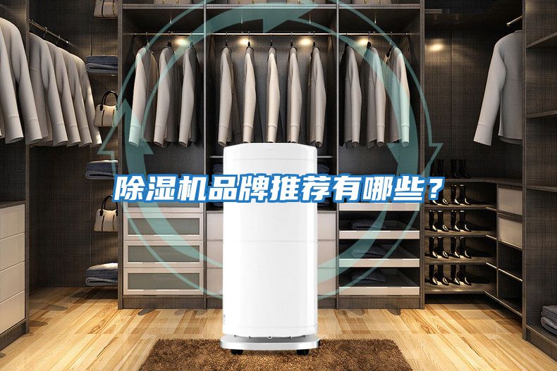 除濕機品牌推薦有哪些？