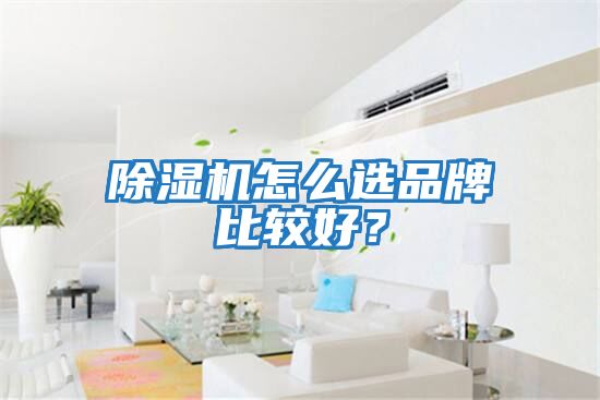 除濕機怎么選品牌比較好？
