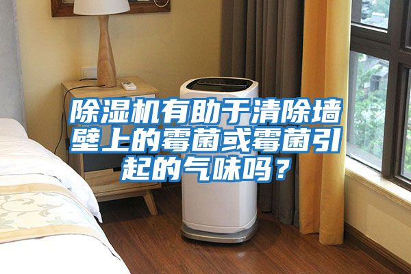除濕機(jī)有助于清除墻壁上的霉菌或霉菌引起的氣味嗎？