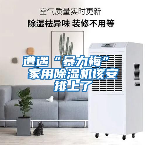 遭遇“暴力梅” 家用除濕機該安排上了