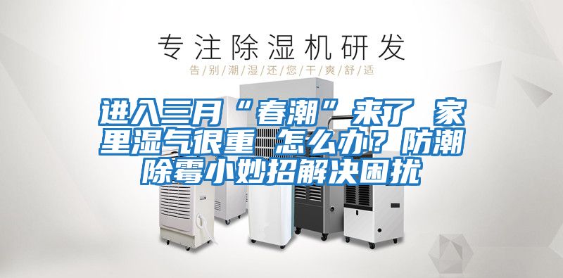 進入三月“春潮”來了 家里濕氣很重 怎么辦？防潮除霉小妙招解決困擾