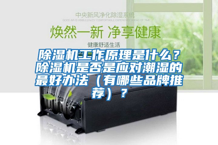 除濕機工作原理是什么?除濕機是否是應對潮濕的最好辦法(有哪些品牌推薦)?