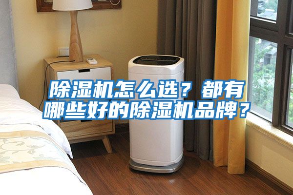 除濕機怎么選？都有哪些好的除濕機品牌？