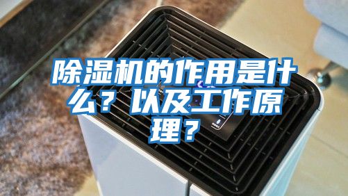 除濕機的作用是什么？以及工作原理？