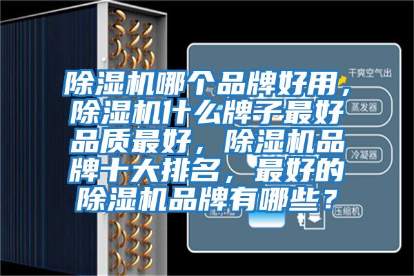 除濕機(jī)哪個品牌好用，除濕機(jī)什么牌子最好品質(zhì)最好，除濕機(jī)品牌十大排名，最好的除濕機(jī)品牌有哪些？