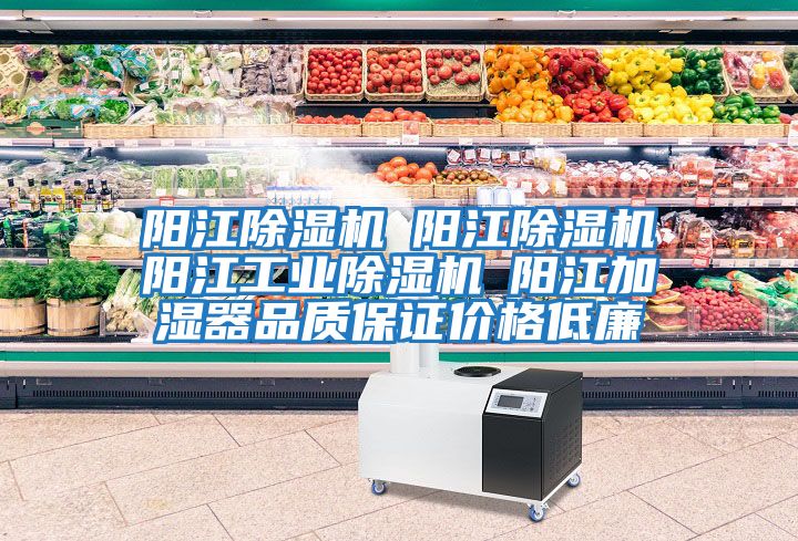 陽江除濕機☆陽江除濕機☆陽江工業除濕機☆陽江加濕器品質保證價格低廉
