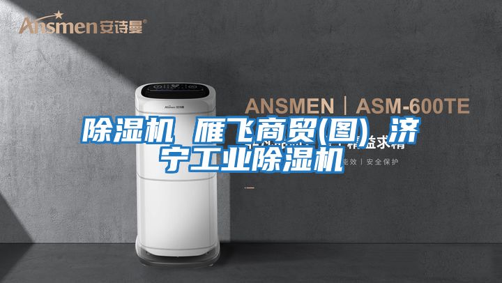 除濕機 雁飛商貿(圖) 濟寧工業除濕機