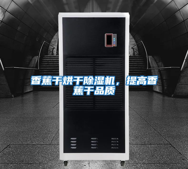 香蕉干烘干除濕機,提高香蕉干品質