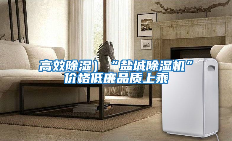 高效除濕)“鹽城除濕機(jī)”價格低廉品質(zhì)上乘