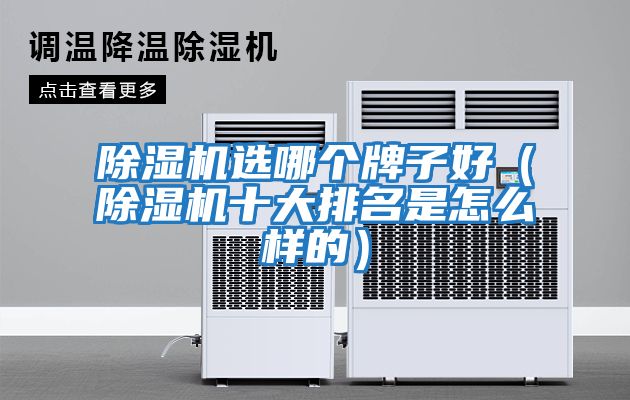 除濕機(jī)選哪個(gè)牌子好(除濕機(jī)十大排名是怎么樣的)