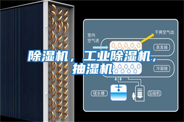 除濕機(jī)，工業(yè)除濕機(jī)，抽濕機(jī)