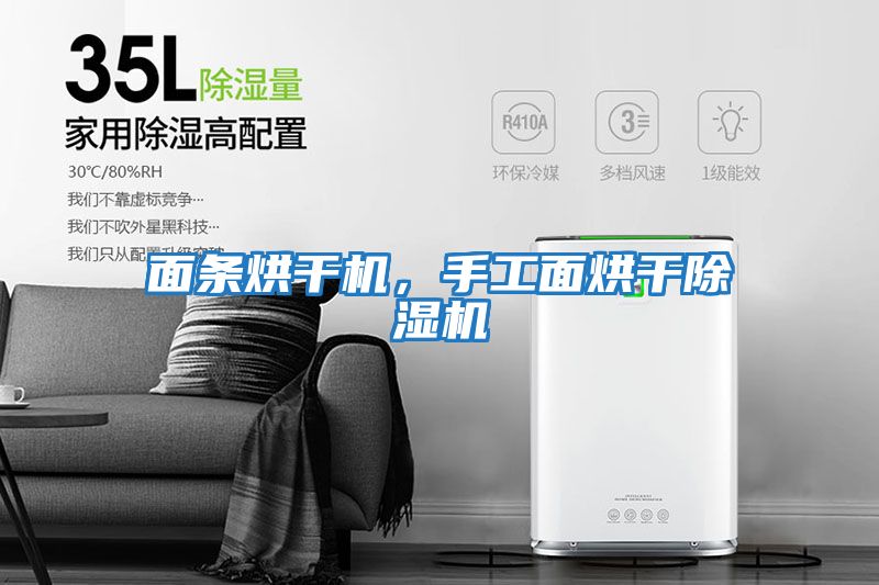 面條烘干機，手工面烘干除濕機