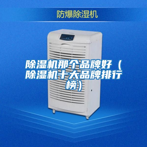 除濕機那個品牌好(除濕機十大品牌排行榜)