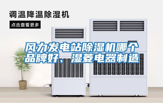 風(fēng)力發(fā)電站除濕機(jī)哪個品牌好、濕菱電器制造
