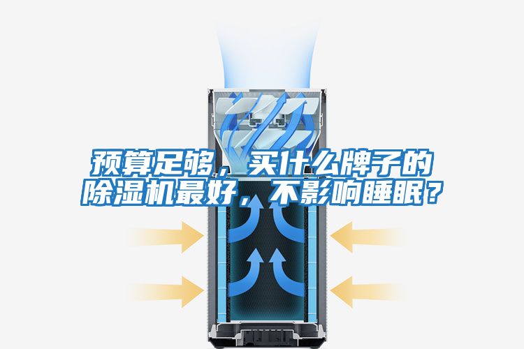 預算足夠，買什么牌子的除濕機最好，不影響睡眠？