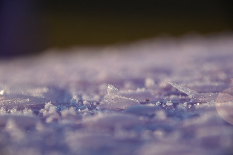 你知道除濕機為什么需要自動化霜嗎? 冷凍式除濕機化霜功能